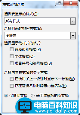 样式窗格选项